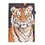 Colored Tiger