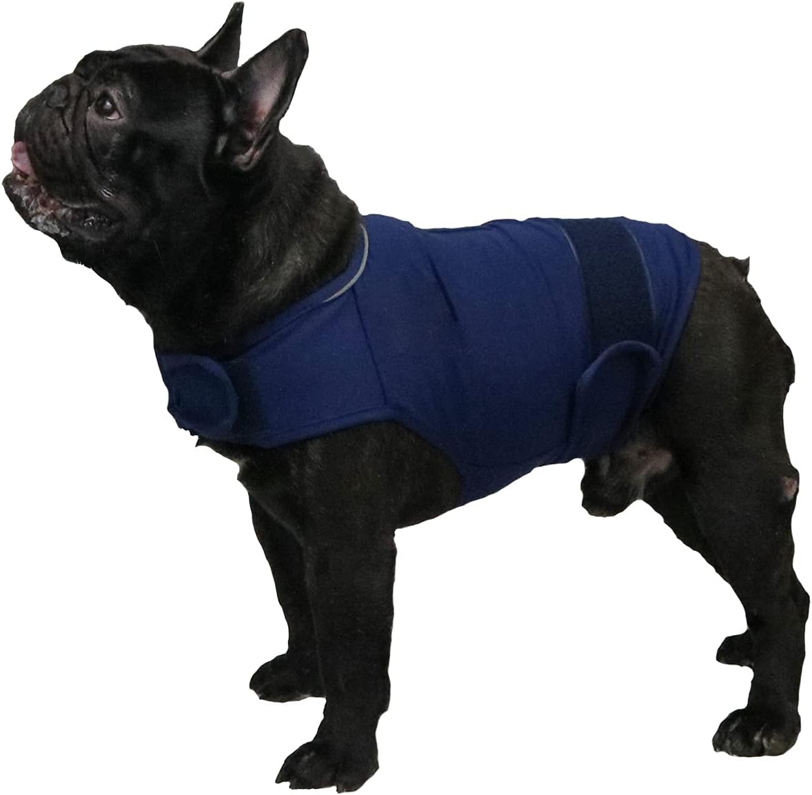 cattamao Comfort Dog Anxiety Relief Coat, Dog Anxiety