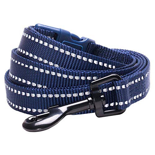 Blueberry Pet Essentials 6 Colors Durable 3M Reflective Classic Dog Leash 5 ft x 5/8