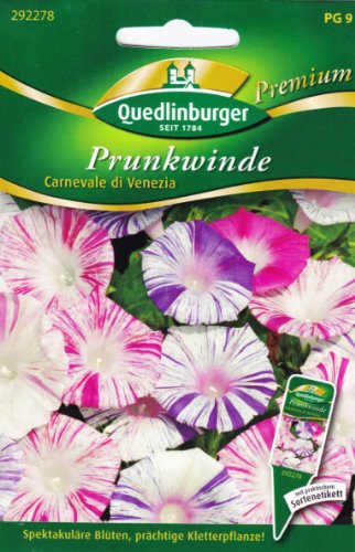 Preisvergleich Produktbild Prunkwinde, Carnevale di Venezia
