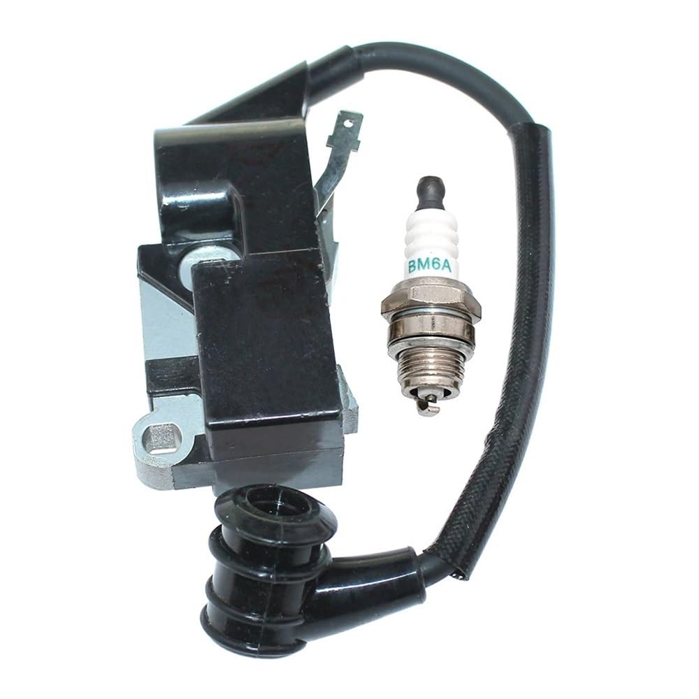 Module d'allumage bobine motoculture 316380700 CMXGSAMY421S 316380160