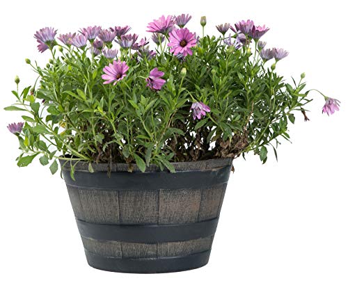 Rustic Wood- Look Plastic Half Barrel Flower Pot #TOP3