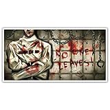 Halloween Plastic Asylum Banner