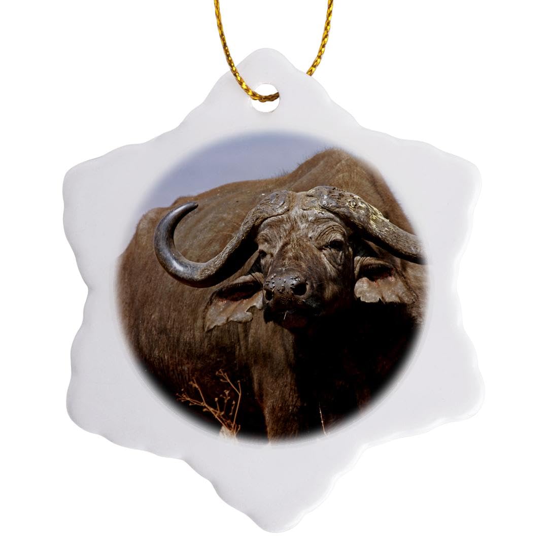 Porcelaine Ngorongoro 3dRose, ornement de prestige de 7,6 cm illustré par Kymri Wilt