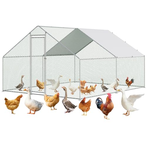 Large Metal Chicken Coop, Large Chicken Runs for Yard with Waterproof and Anti-UV Cover, Walk in Chicken Coop for Outdoor (9.8'L x 13.1'W x 6.5'H)