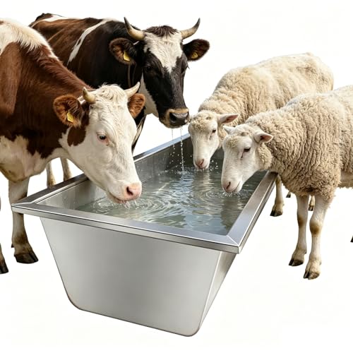 Mangeoire en acier inoxydable pour caprins et moutons de ranch 2m