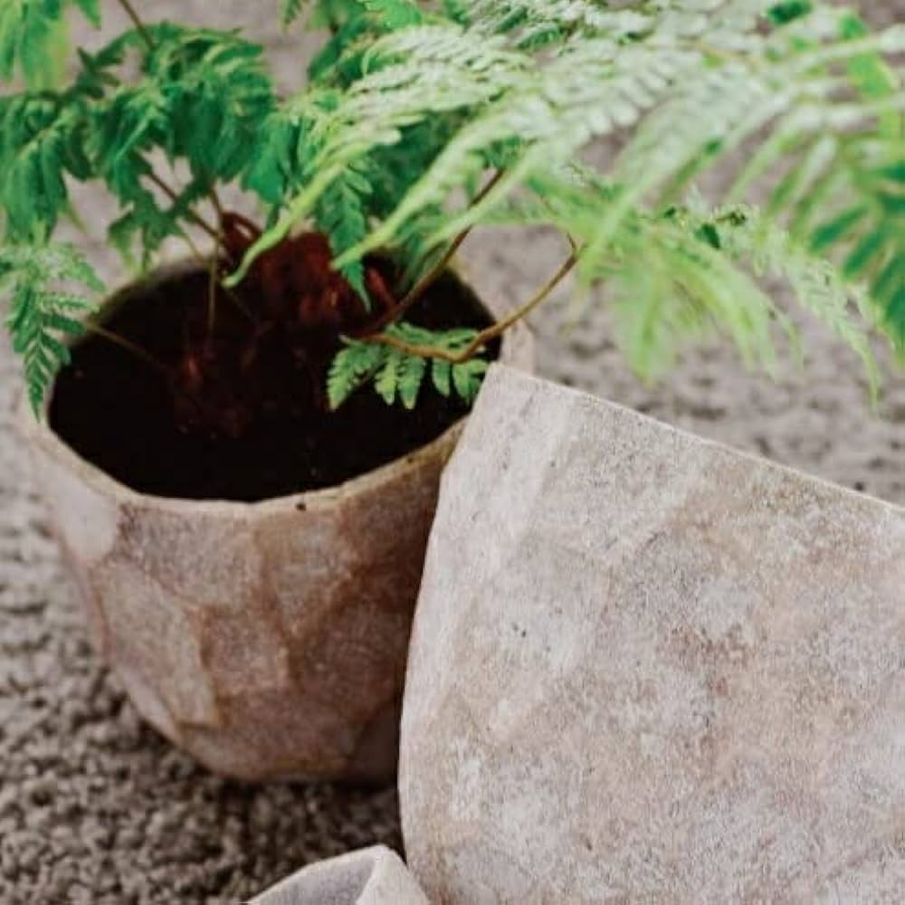 Amazon | 鉢 コンクリート おしゃれ アンシャルL＜ 28cm 穴あり