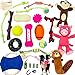 Jalousie Multipack Dog Squeaky Toys Bulk Bundle Pup Toy - Puppy Toys for Pets for Small Medium Breed (24 PCs Gift Basket)