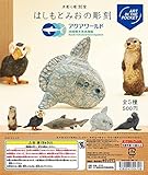 全5種類コンプリートセット はしもとみおの彫刻 アクアワールド茨城県大洗水族館