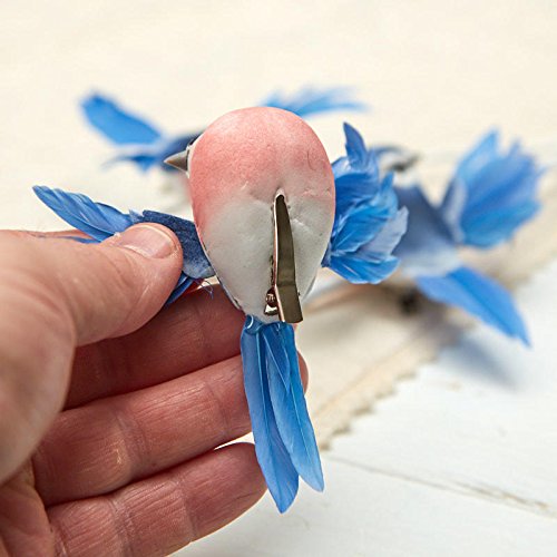 Factory Direct Craft Open Wing Blue Jay Mushroom Birds | 12 Blue Jays | with Attached Alligator Clips