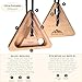 Bellaroca® | Portable Climbing Hangboards for Climbing Training, Professional Climbing Boards for Finger Strenght in Rock Climbing and Bouldering (Triangles)