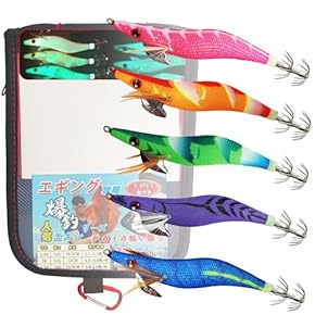 各種エギセット Amazon.co.jp: エギ・スッテ - ルアー: スポーツ＆アウトドア