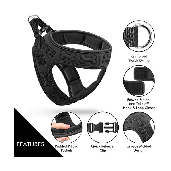 Metric USA Comfort fit Dog Harness Easy to Put-on Comfortable Adjustable Step in Soft Padded Dog Vest Harnesses for Small and Medium Dogs Under 30 lbs, Black, L, Chest 20-22″ Metric USA Comfort fit Dog Harness Easy to Put-on Comfortable Adjustable Step in Soft Padded Dog Vest Harnesses for Small and Medium Dogs Under 30 lbs, Black, L, Chest 20-22″