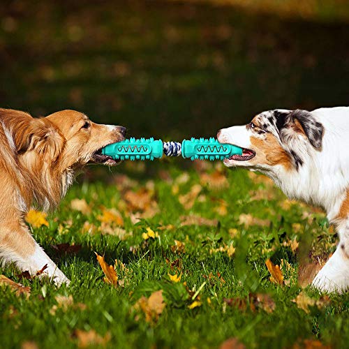 Os cães AnRuiBang com hastes molares de corda são usados para limpar seus dentes e aliviar sua depre