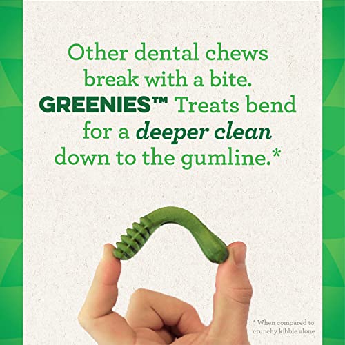 Greenies-Large-Natural-Dog-Dental-Treats-Sweet-Potato-Flavor-36-oz-Pack-24-Treats Greenies Large Natural Dog Dental Treats Sweet Potato Flavor 36 oz Pack 24 Treats