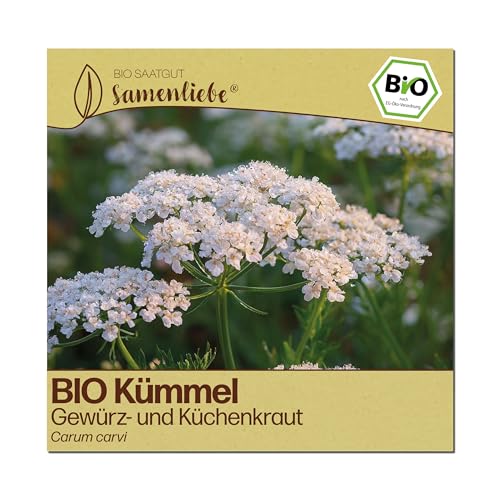 Samenliebe BIO Kümmel Samen | Echter Kümmel - winterhart - samenfestes BIO Saatgut