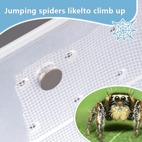 Image of 1 Pcs Jumping Spider Climbing Net Enclosure Accessories with 10 Pcs Magnet for Tarantula Insect Praying Mantis Jumping Spider Stick Insect (19.6 inch L, 19.6 inch W)