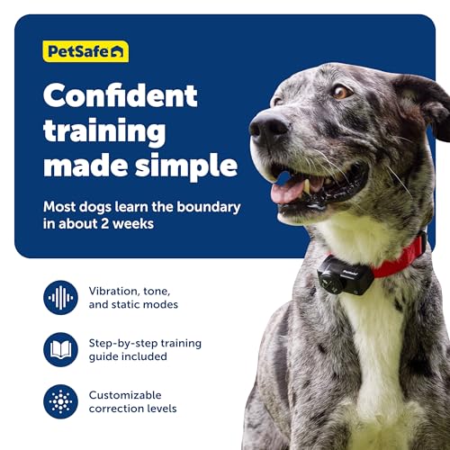 PetSafe Wireless Dog Fence System