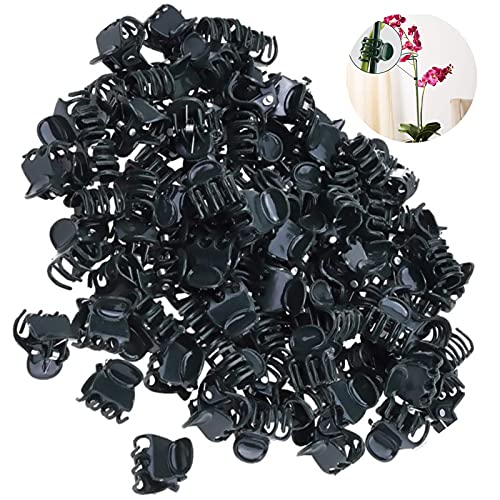 Orchideen Clips Klein Pflanzen Clips Set Rankhilfe Garten Clips Kunststoff Orchideen Ranken Clip Befestigung Gartenpflanzen Clips Garten Clip für Unterstützen Und Halten Kletterpflanzen Befestigung