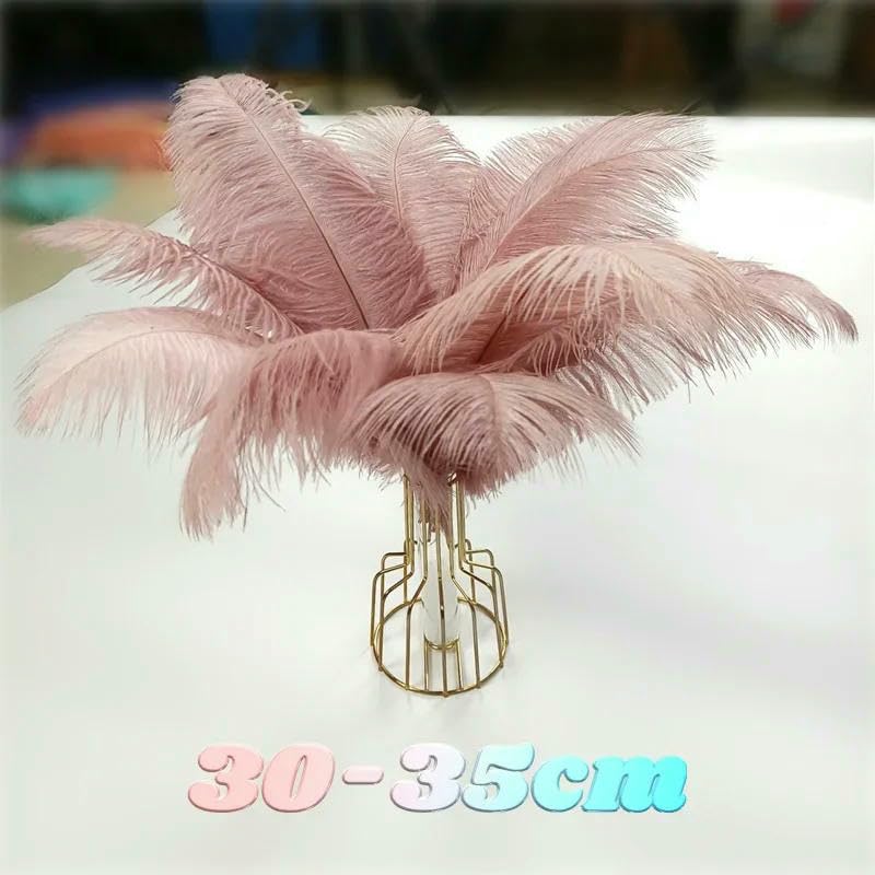 Plumes artisanales, plumes, décoration de fête, plumes de fête, plumes d'autruche ivoire, robe blanche en plumes, plumes d'autruche blanches longues, garniture en plumes d'autruche