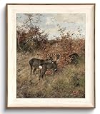 Uniro Vintage Framed Wall Art,...