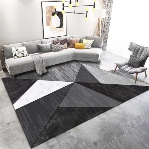 Alfombras Salon 200X300 Pelo Largo Marca Generic