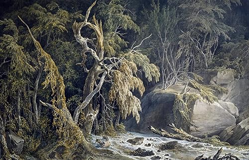 Affiche Arbres déracinés Giuseppe Pietro Bagetti Toile 60x90cm