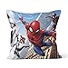 Housse de coussin décorative Spiderman pour voiture, chambre à coucher, maison, 40 x 40 cm