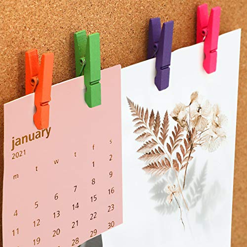 image for UpdateClassic 32 PCS Wood Push Pin Clips, Colorful Push Pins Decorativ