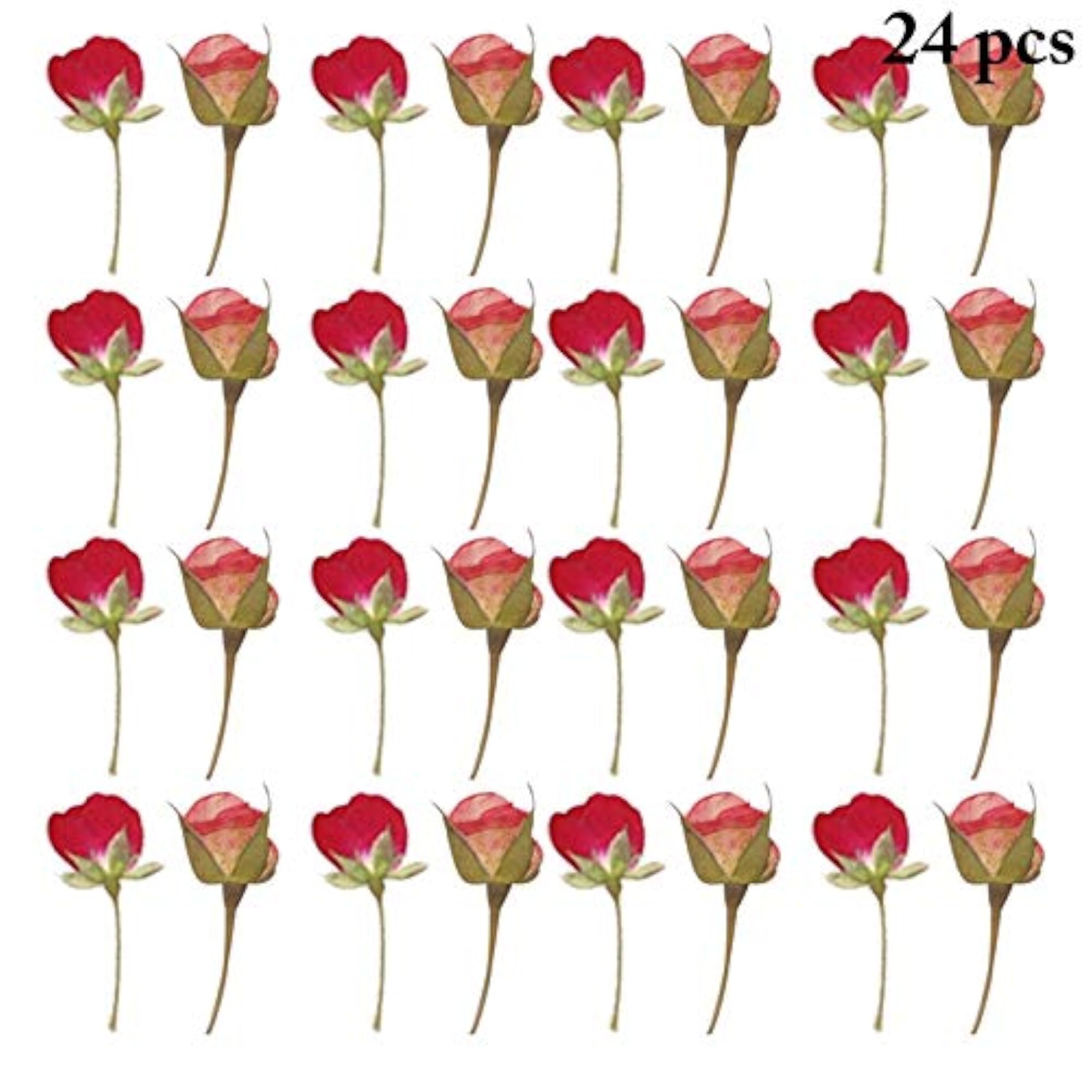 24PCS Pressed Flowers Leaves DIY Scrapbooking Flower Supply