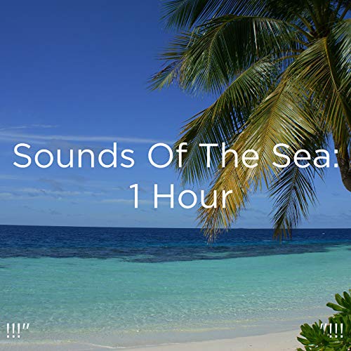 Amazon Music Ocean Sounds, Ocean Waves For Sleep and BodyHIの
