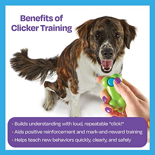Brightkins Smarty Pooch Bone Training Clicker - Dog Training Clicker, Perfect For Dog Training And Obedience Games, Clicker For Dog Training #TOP3