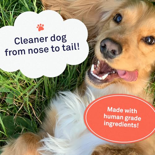 Petpost | Oatmeal & Chamomile Shampoo for Dogs with Dry Skin – Naturally Heals, Protects, Rejuvenates Dog Skin & Coat – Oatmeal, Chamomile, Aloe & Yucca Formula 8 oz. Petpost | Oatmeal & Chamomile Shampoo for Dogs with Dry Skin – Naturally Heals, Protects, Rejuvenates Dog Skin & Coat – Oatmeal, Chamomile, Aloe & Yucca Formula 8 oz.
