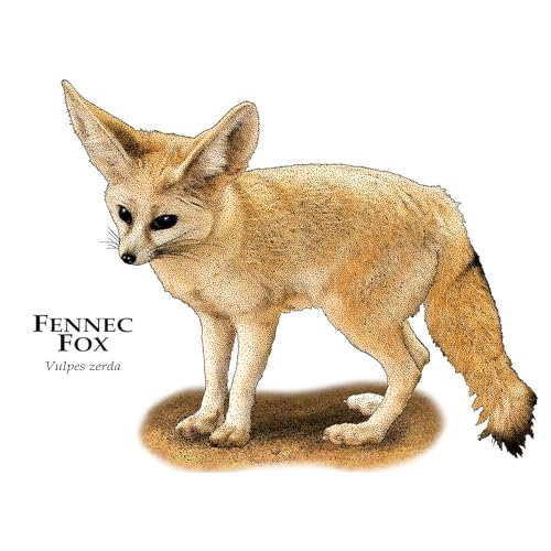 Taza de cerámica CafePress Fennec Fox 325 ml miniatura 3