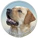 LUKKA Retriever del Labrador Pegatina 15cm