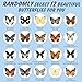 12 Pcs Real Butterfly Specimen - Taxidermy Butterfly DIY Creative Production, Taxidermy Animals for Framed Butterfly Shadow Box (Random)