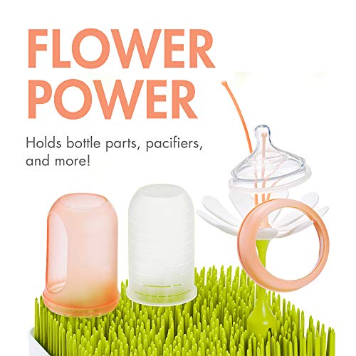 Escurridores De Cocina, Imagen adicional