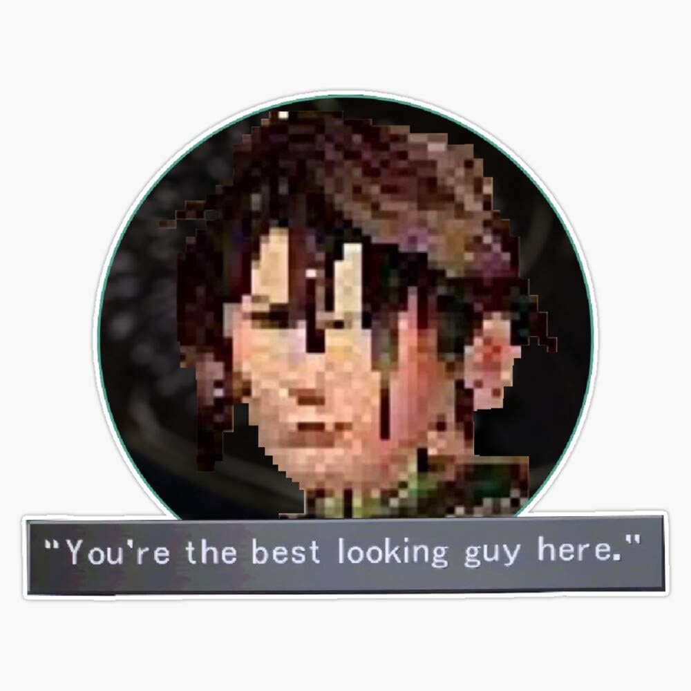 Best Vinyl‌ Decal - You're The ‌Best Looking Guy Here Sticker Review