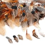 【Verschiedene Farben】Federn sind mehrfarbig und voll genug, um alle Ihre Bedürfnisse zu erfüllen, wie z. B. Anziehsachen oder Dekorationen an Geburtstag, Hochzeit, Party usw. la taille varie de 2 pouces à 6,8 pouces, différentes tailles pour différents buts de bricolage, le tout avec de beaux motifs.