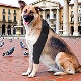 Shwdsy Gummi Verband Hund, Verstellbar Leckschutz Hund Hinterbein, Schwarz Hundebeinschutz, zur Stützung und zum Schutz der Vorder- und Hinterbeine von Hunden