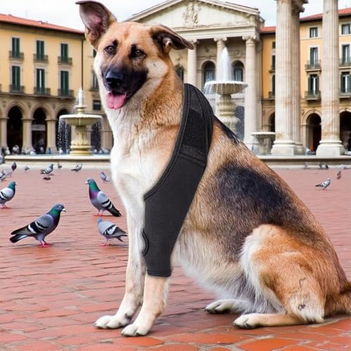 Shwdsy Gummi Verband Hund, Verstellbar Leckschutz Hund Hinterbein, Schwarz Hundebeinschutz, zur Stützung und zum Schutz der Vorder- und Hinterbeine von Hunden