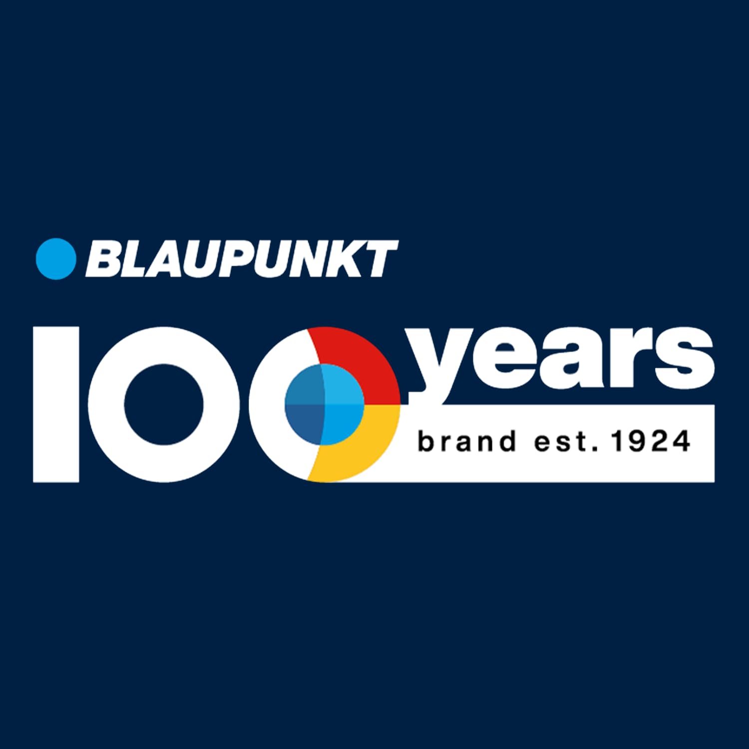 Blaupunkt BSR 30 Radio da Cantiere Bluetooth 5.3 Portatile 10W RMS IPX5