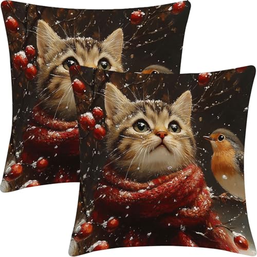 �r���[�h�N�b�V�����J�o�[ 2���Z�b�g, �\�t�@�N�b�V�����J�o�[, 55x55cm, �r���[�h�������J�o�[, �_�炩���ĐS�n�悢, �C���e���A�N�b�V����, �G�ߑ���������, �ԗp���z�c�J�o�[, �o�[ ��������, �����j�� �v���[���g, �����̑��蕨, �T�N��