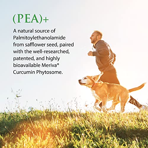 Enzyme Science Recovery And Mobility Myomend 60 And (Pea)+ 60 #TOP6