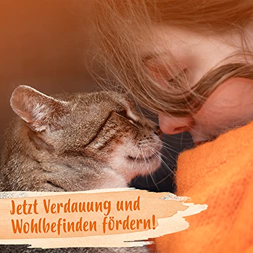 Ida Plus – Heilmoor + Bierhefe - Verbessert Kotbeschaffenheit– Darmflora Plus - optimale Verdauung bei Hund & Katze – wertvolle B-Vitamine –– mit natürlichem Torf aus dem Hochmoor - 1000 g oder 200 g