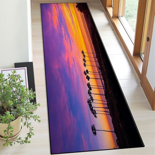 Runner Rug Washable 2x6 Encinitas Sunset Swamis Trees
