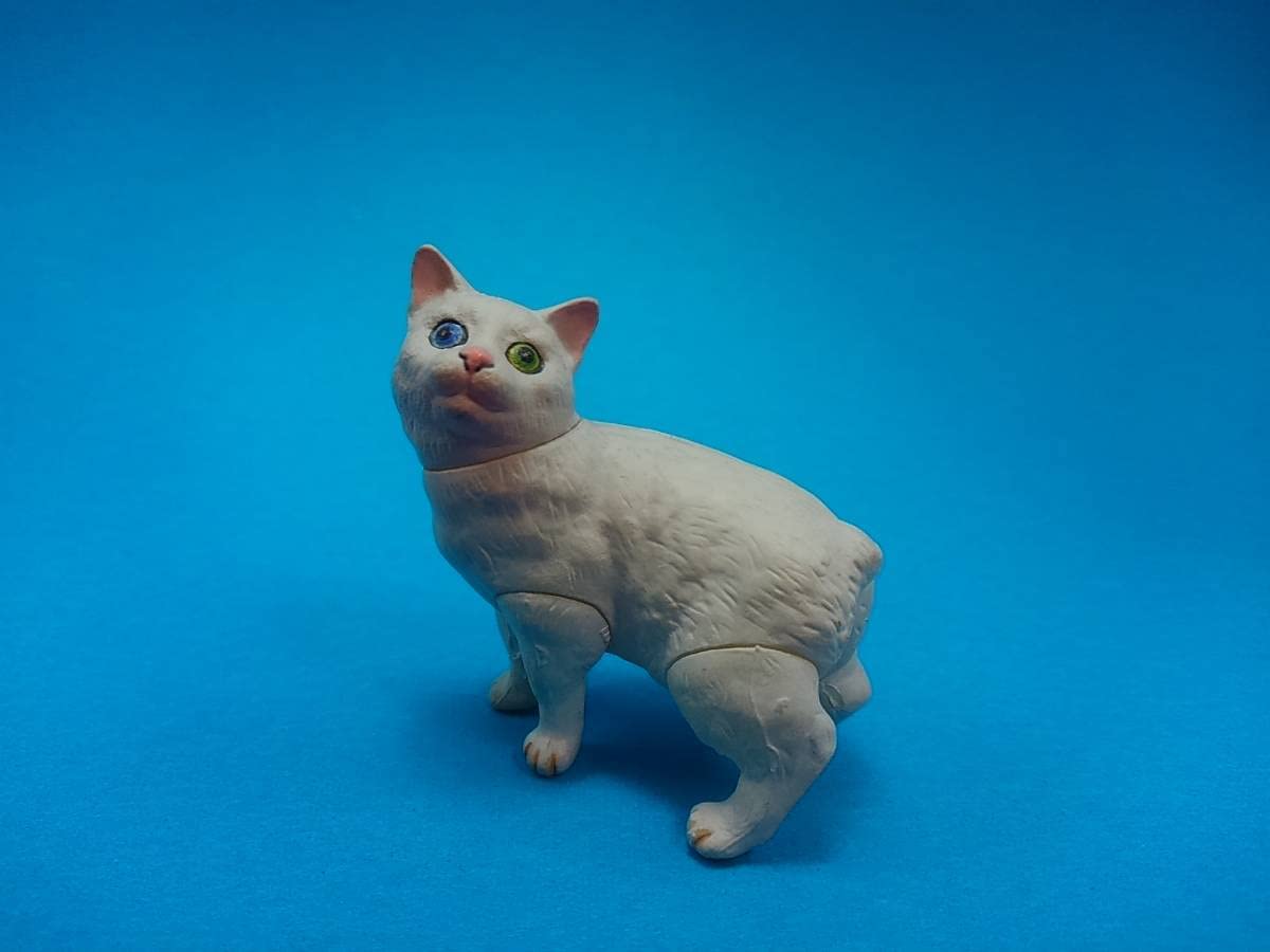 Amazon.co.jp: 当選品マンクス 白 目の色違いチョコエッグ ペット動物