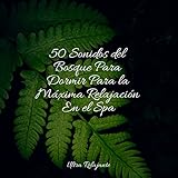  Rio Lento