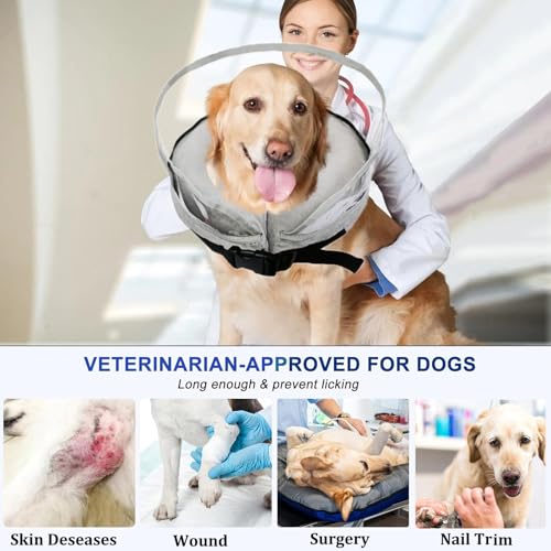 Image of Inflatable Dog Cone Collar for Large Medium Small Dogs to Stop Licking, Soft Dog Cone Alternative Donut Collar After Surgery (Gray, XL)