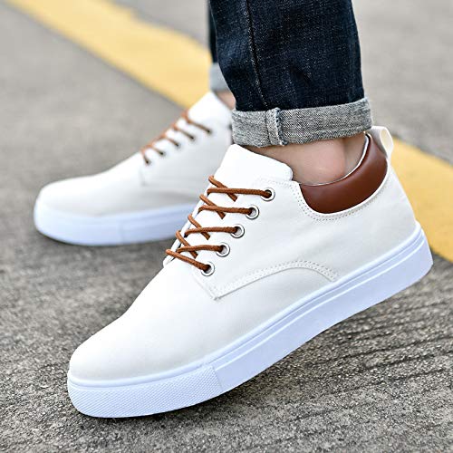 tazimall Mens Casual Shoes Large Size Canvas Shoes Low Top Sneakers2